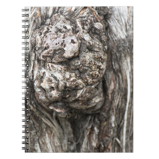 Knop boomstam notitieboek (Voorkant)