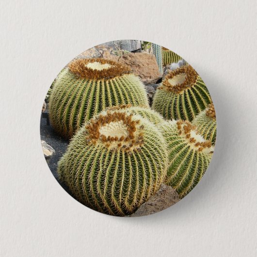 Knop Cacti Ronde Button 5,7 Cm (Voorkant)
