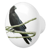 Knop Crow Drawer (Rechts)