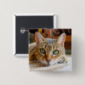 Knop Cute Cat Vierkante Button 5,1 Cm (Voorkant /achterkant)
