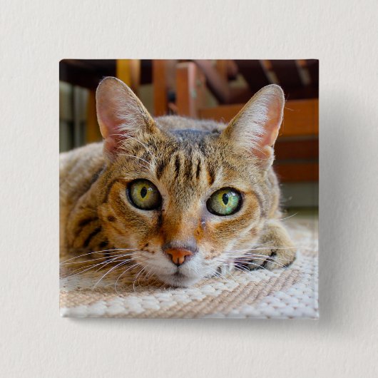 Knop Cute Cat Vierkante Button 5,1 Cm (Voorkant)