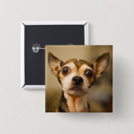 Knop Cute Dog 10 Vierkante Button 5,1 Cm (Voorkant /achterkant)