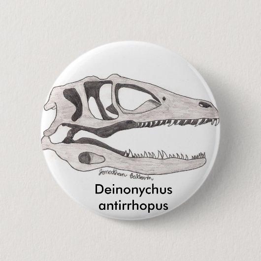 Knop Deinonychus antirhopus Ronde Button 5,7 Cm (Voorkant)