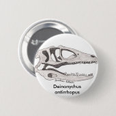 Knop Deinonychus antirhopus Ronde Button 5,7 Cm (Voorkant /achterkant)