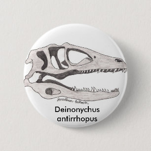 Knop Deinonychus antirhopus Ronde Button 5,7 Cm