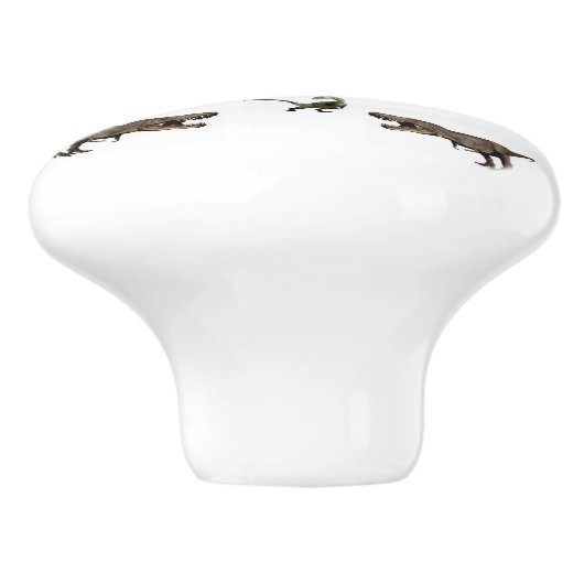 Knop Dinosaurus (Zijkant)