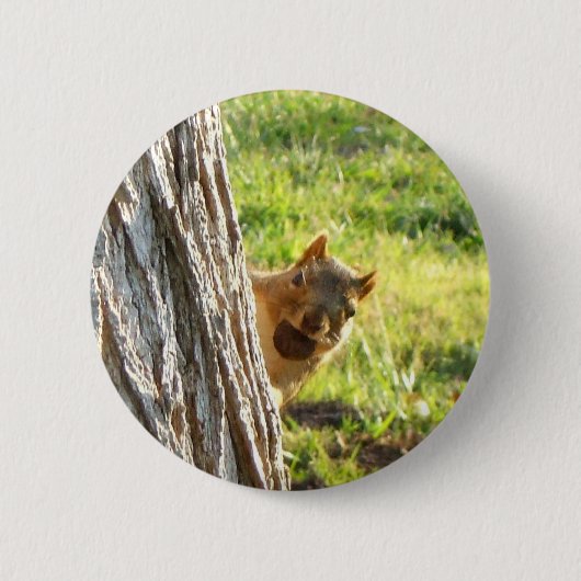 Knop eekhoorn ronde button 5,7 cm (Voorkant)