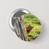 Knop eekhoorn ronde button 5,7 cm (Voorkant /achterkant)
