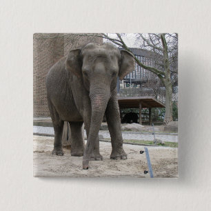 knop ELEPHANT Vierkante Button 5,1 Cm