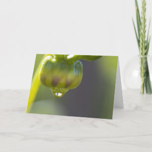 Knop en dalingswenskaart kaart