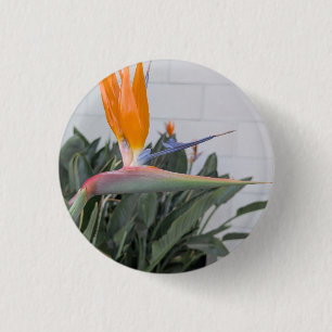 Knop--Florale Serie Vogel van Paradijs Knop Ronde Button 3,2 Cm