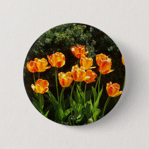 Knop Geel Oranje Tulps Ronde Button 5,7 Cm