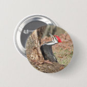 Knop Gekopieerd Woodpecker Ronde Button 5,7 Cm (Voorkant /achterkant)