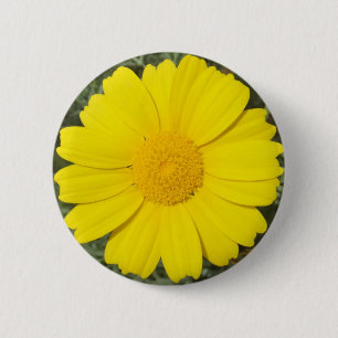 Knop Gele Daisy Ronde Button 5,7 Cm