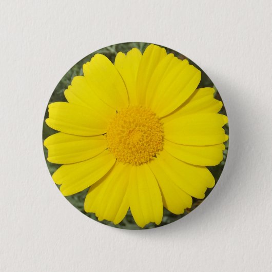 Knop Gele Daisy Ronde Button 5,7 Cm (Voorkant)