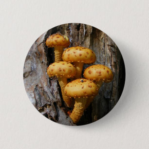 Knop Golden Mushroom ~ Ronde Button 5,7 Cm