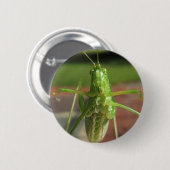 Knop Katydid ~ Ronde Button 5,7 Cm (Voorkant /achterkant)