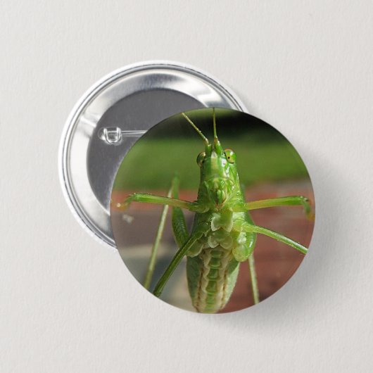 Knop Katydid ~ Ronde Button 5,7 Cm (Voorkant /achterkant)