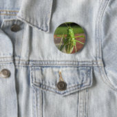 Knop Katydid ~ Ronde Button 5,7 Cm (In situ)