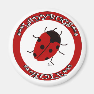 Knop Ladybug Magneet