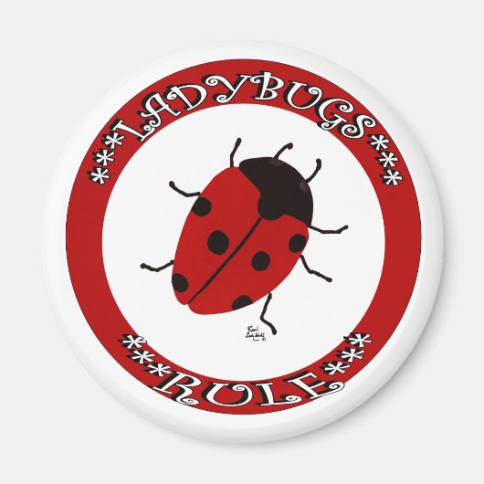 Knop Ladybug Magneet (Voorkant)