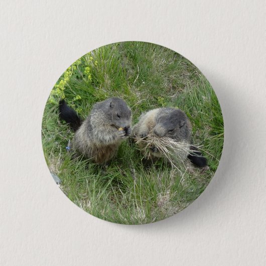 Knop Marmot Ronde Button 5,7 Cm (Voorkant)