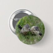 Knop Marmot Ronde Button 5,7 Cm (Voorkant /achterkant)