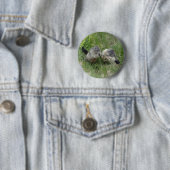 Knop Marmot Ronde Button 5,7 Cm (In situ)