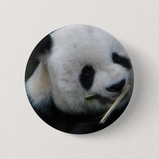 Knop met Mooie Panda – Kawaii Panda Speld Ronde Button 5,7 Cm (Voorkant)