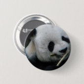 Knop met Mooie Panda – Kawaii Panda Speld Ronde Button 5,7 Cm (Voorkant /achterkant)