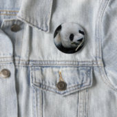 Knop met Mooie Panda – Kawaii Panda Speld Ronde Button 5,7 Cm (In situ)