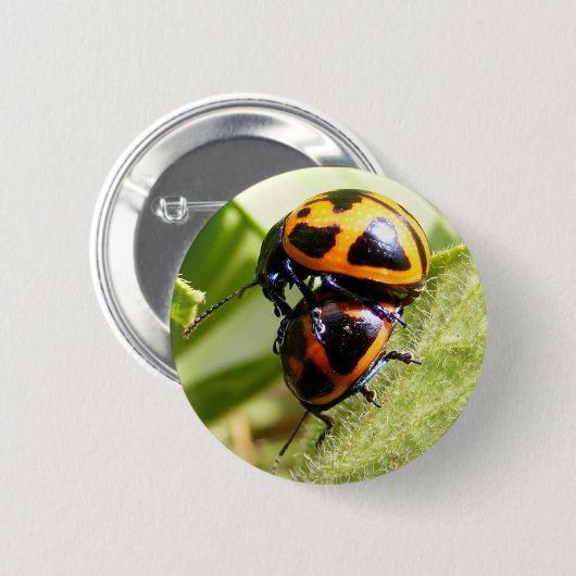 Knop Milroosekens ~ Ronde Button 5,7 Cm (Voorkant /achterkant)