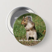 knop Oostergrijze eekhoorn Ronde Button 7,6 Cm (Voorkant /achterkant)
