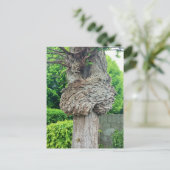 Knop op boomstam, Knar, Natuur groen Briefkaart (Staand voorkant)