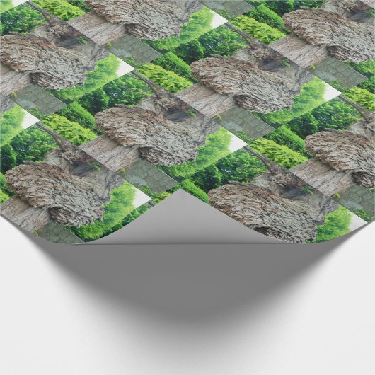 Knop op boomstam, Knar, Natuur groen Cadeaupapier (Hoek)