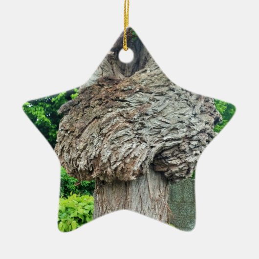 Knop op boomstam, Knar, Natuur groen Keramisch Ornament (Voorkant)
