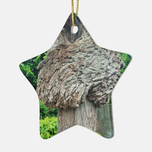 Knop op boomstam, Knar, Natuur groen Keramisch Ornament (Links)