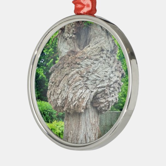 Knop op boomstam, Knar, Natuur groen Metalen Ornament (Links)