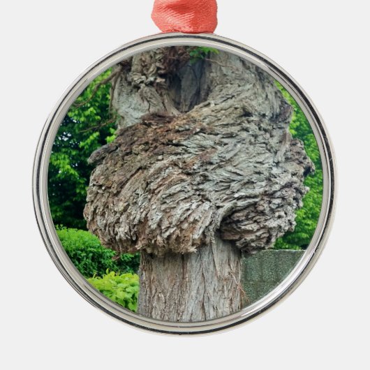 Knop op boomstam, Knar, Natuur groen Metalen Ornament (Voorkant)