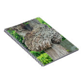 Knop op boomstam, Knar, Natuur groen Notitieboek (Rechterzijde)