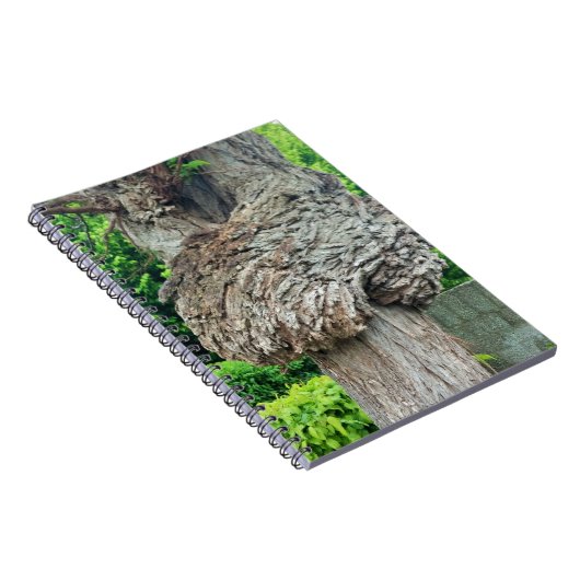 Knop op boomstam, Knar, Natuur groen Notitieboek (Rechterzijde)