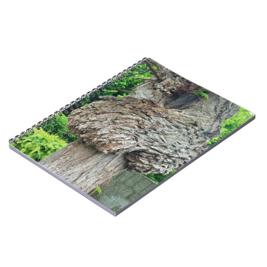 Knop op boomstam, Knar, Natuur groen Notitieboek (Linkerzijde)