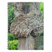 Knop op boomstam, Knar, Natuur groen Notitieboek (Voorkant)