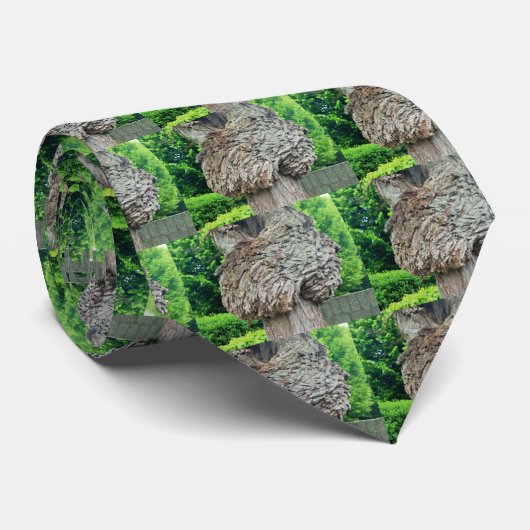 Knop op boomstam, Knar, Natuur groen Stropdas (Opgerold)