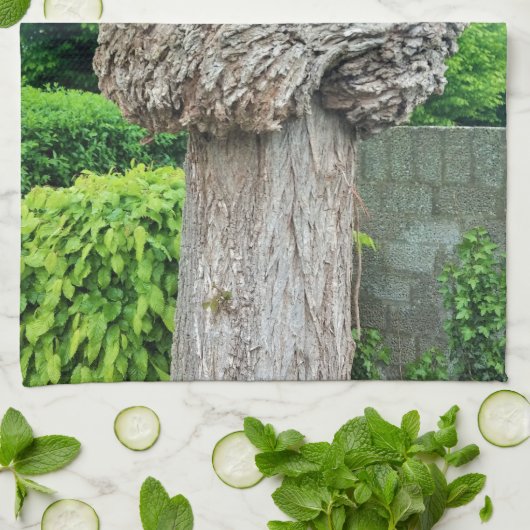 Knop op boomstam, Knar, Natuur groen Theedoek (Gevouwen)