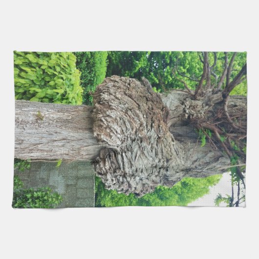 Knop op boomstam, Knar, Natuur groen Theedoek (Horizontaal)