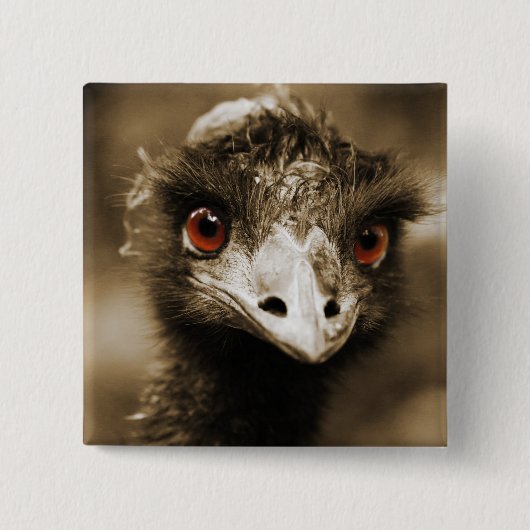 Knop Ostriches Vierkante Button 5,1 Cm (Voorkant)