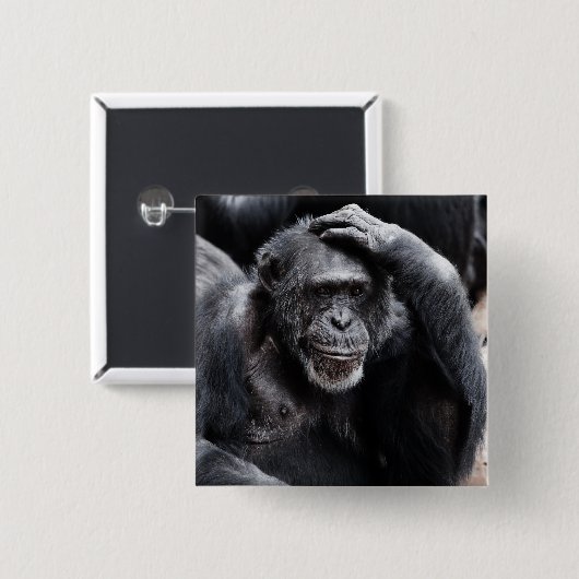 Knop Oude chimpansee Vierkante Button 5,1 Cm (Voorkant /achterkant)