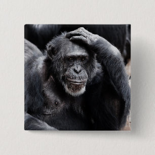 Knop Oude chimpansee Vierkante Button 5,1 Cm