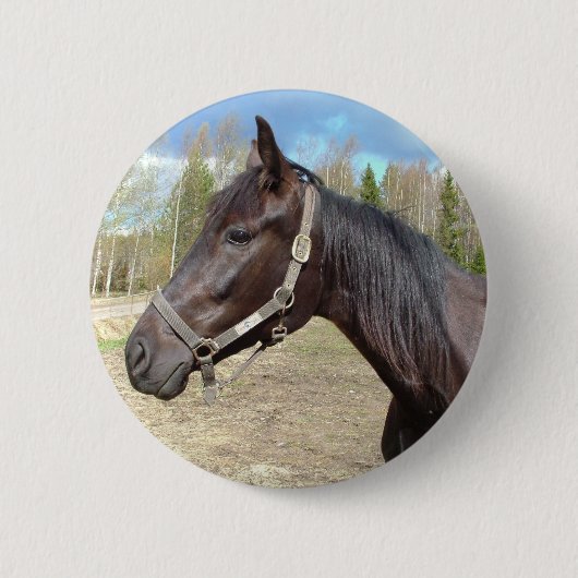 Knop Paarden Ronde Button 5,7 Cm (Voorkant)